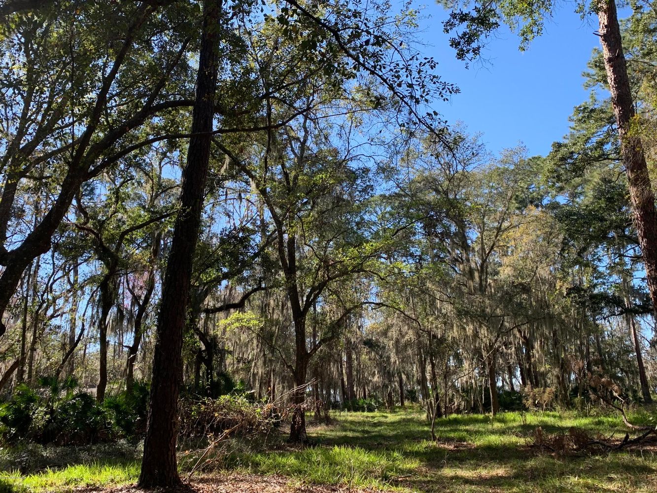 901 Creighton Rd, Orange Park, FL 32003